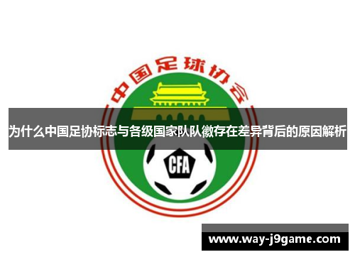 为什么中国足协标志与各级国家队队徽存在差异背后的原因解析