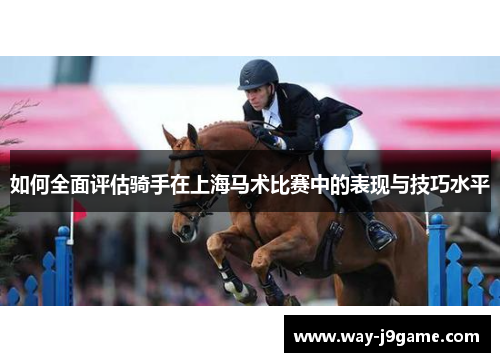 如何全面评估骑手在上海马术比赛中的表现与技巧水平