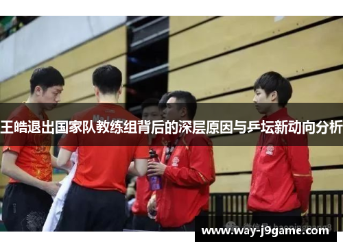 王皓退出国家队教练组背后的深层原因与乒坛新动向分析 王皓退出国家队教练组背后的深层原因与乒坛新动向分析
