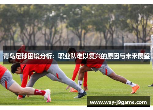 青岛足球困境分析:职业队难以复兴的原因与未来展望 青岛足球困境分析:职业队难以复兴的原因与未来展望