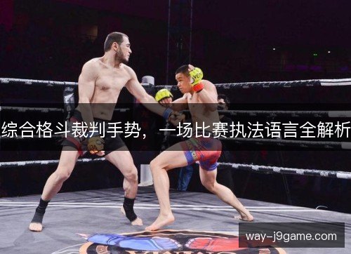 综合格斗裁判手势,一场比赛执法语言全解析 综合格斗裁判手势,一场比赛执法语言全解析