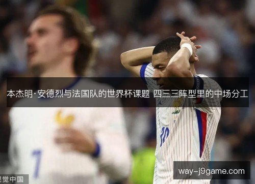 本杰明·安德烈与法国队的世界杯课题 四三三阵型里的中场分工